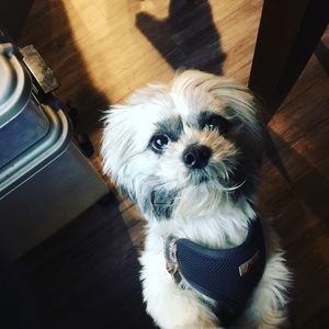 Meet your Posher, Aaron